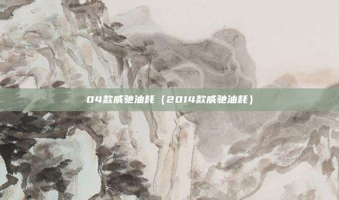 04款威驰油耗(2014款威驰油耗)