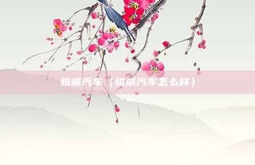 骏威汽车(骏威汽车怎么样)
