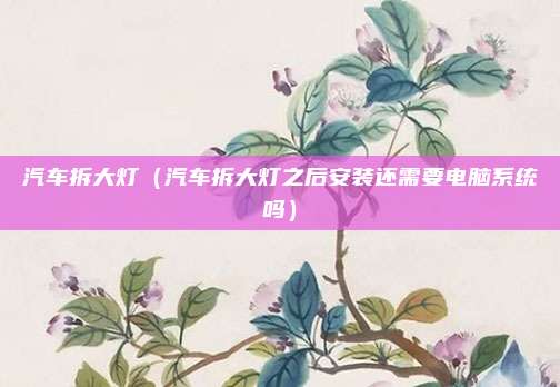 汽车拆大灯（汽车拆大灯之后安装还需要电脑系统吗）