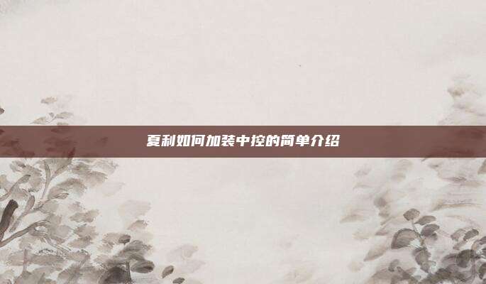 夏利如何加装中控的简单介绍
