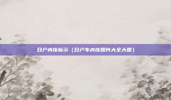 日产内饰标示（日产车内饰图片大全大图）