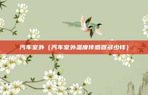 汽车室外（汽车室外温度传感器多少钱）