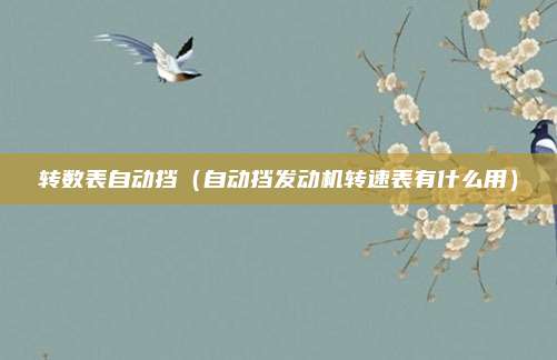 转数表自动挡（自动挡发动机转速表有什么用）