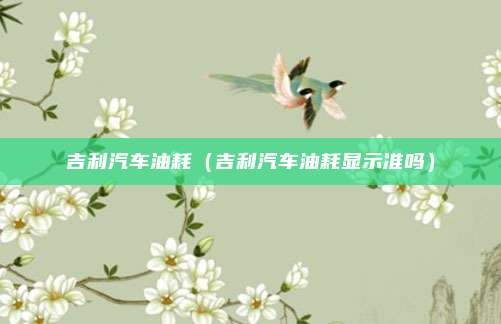 吉利汽车油耗（吉利汽车油耗显示准吗）