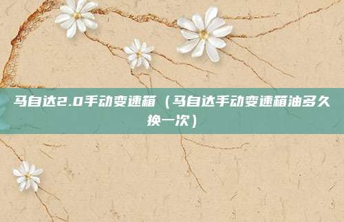 马自达2.0手动变速箱(马自达手动变速箱油多久换一次)