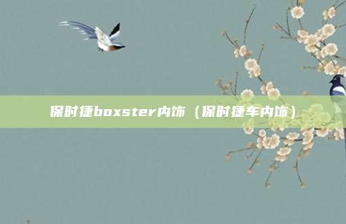 保时捷boxster内饰(保时捷车内饰)