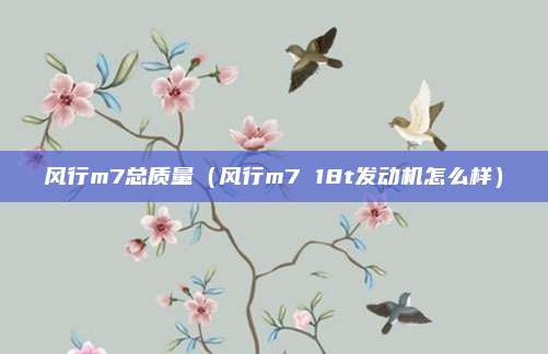 风行m7总质量（风行m7 18t发动机怎么样）