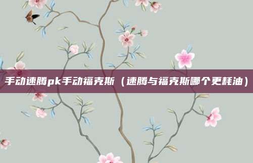 手动速腾pk手动福克斯(速腾与福克斯哪个更耗油)