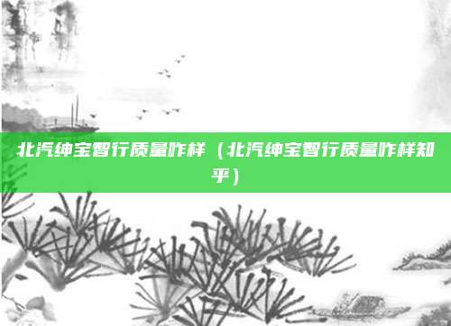 北汽绅宝智行质量咋样（北汽绅宝智行质量咋样知乎）