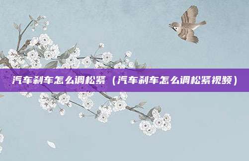 汽车刹车怎么调松紧（汽车刹车怎么调松紧视频）