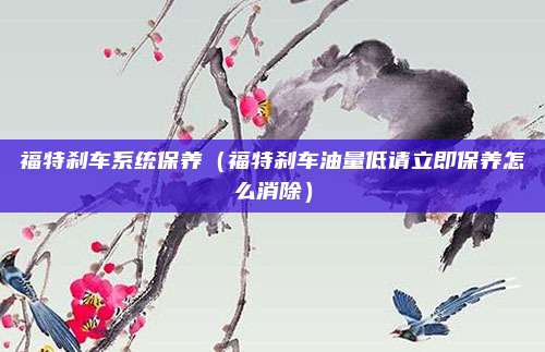 福特刹车系统保养(福特刹车油量低请立即保养怎么消除)
