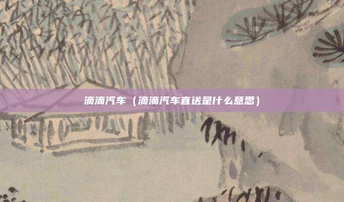 滴滴汽车（滴滴汽车直送是什么意思）