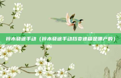 铃木骁途手动（铃木骁途手动挡变速箱是哪产的）