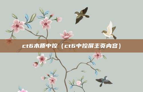 ct6木质中控（ct6中控屏主页内容）