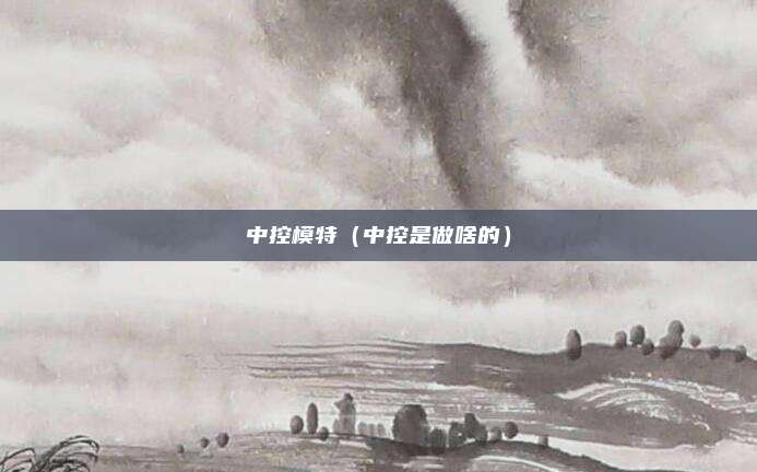 中控模特（中控是做啥的）