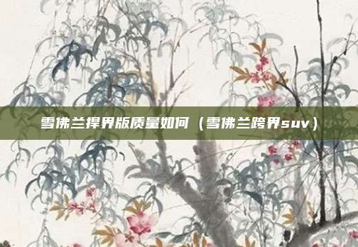 雪佛兰捍界版质量如何（雪佛兰跨界suv）