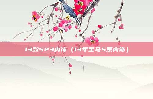 13款523内饰(13年宝马5系内饰)