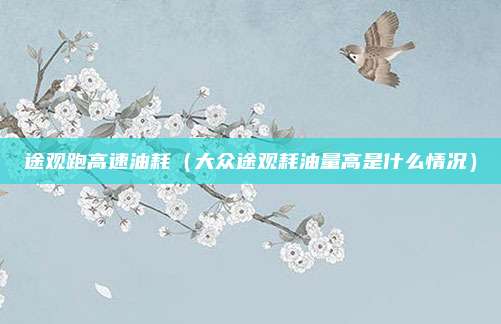 途观跑高速油耗(大众途观耗油量高是什么情况)