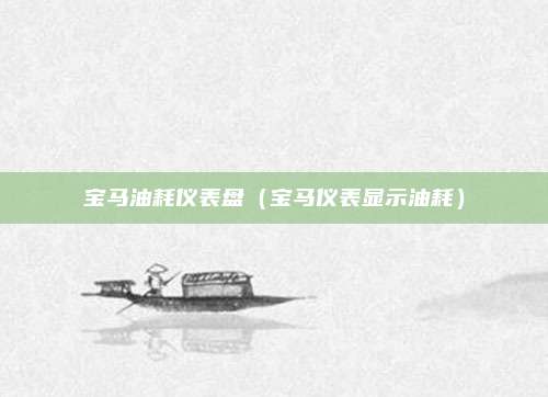 宝马油耗仪表盘（宝马仪表显示油耗）