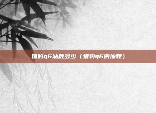 猎豹q6油耗多少（猎豹q6的油耗）