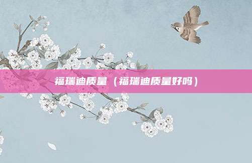 福瑞迪质量（福瑞迪质量好吗）