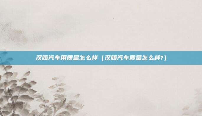 汉腾汽车用质量怎么样(汉腾汽车质量怎么样?)