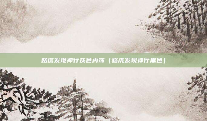 路虎发现神行灰色内饰（路虎发现神行黑色）