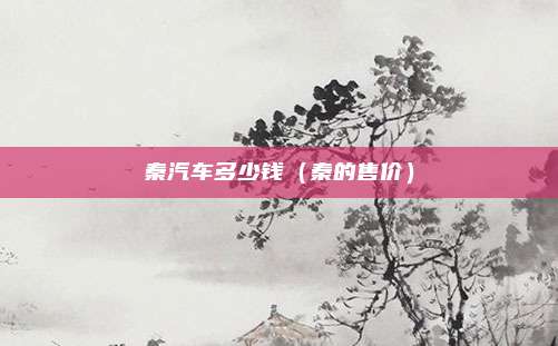 秦汽车多少钱（秦的售价）