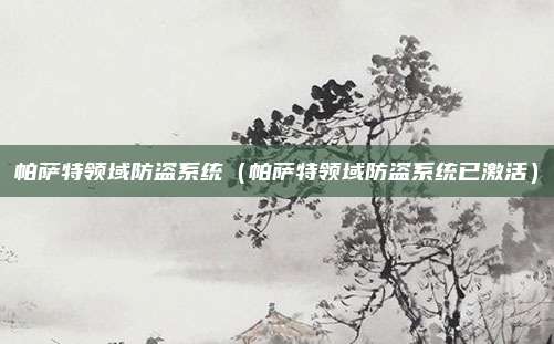 帕萨特领域防盗系统（帕萨特领域防盗系统已激活）