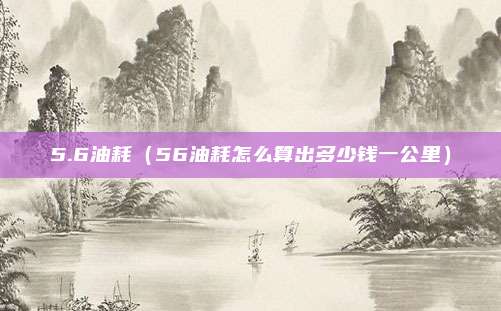 5.6油耗（56油耗怎么算出多少钱一公里）