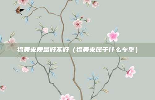 福美来质量好不好（福美来属于什么车型）