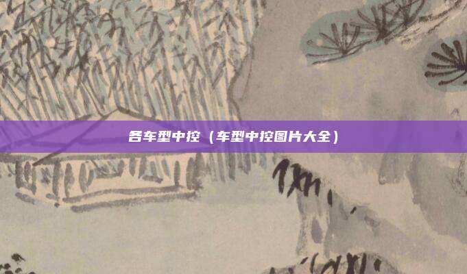各车型中控（车型中控图片大全）
