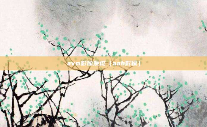 avm影像系统（aah影像）