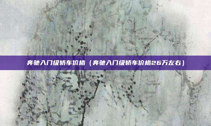奔驰入门级轿车价格（奔驰入门级轿车价格26万左右）