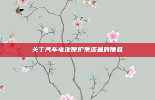 关于汽车电池保护系统是的信息
