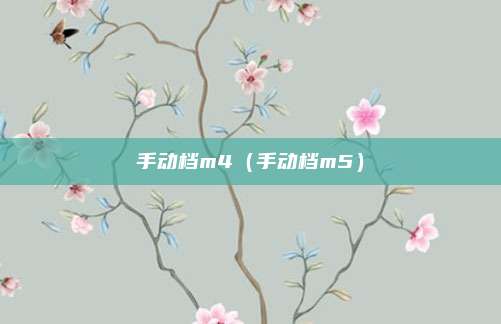 手动档m4（手动档m5）