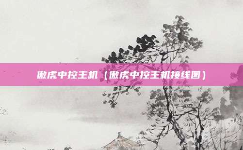 傲虎中控主机(傲虎中控主机接线图)