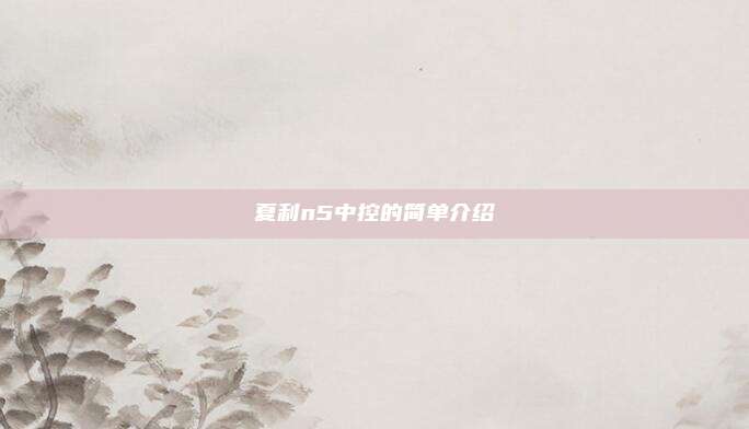 夏利n5中控的简单介绍