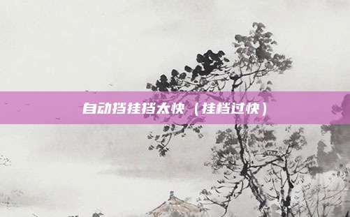 自动挡挂挡太快（挂档过快）