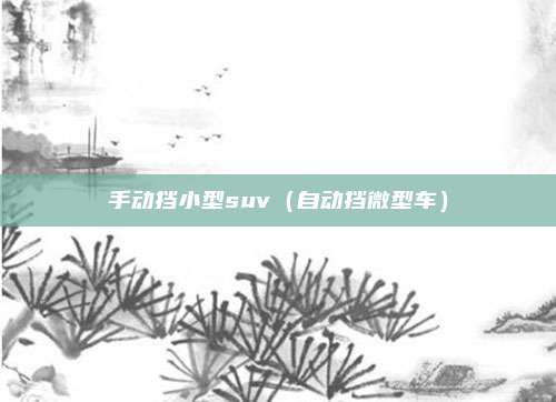 手动挡小型suv（自动挡微型车）