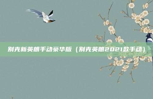 别克新英朗手动豪华版（别克英朗2021款手动）