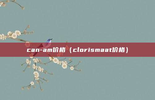 can-am价格（clorismaat价格）