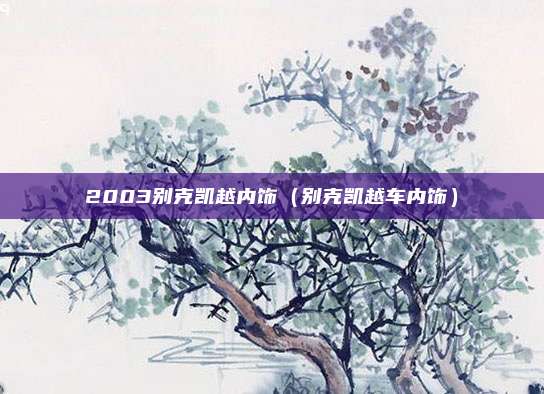 2003别克凯越内饰（别克凯越车内饰）