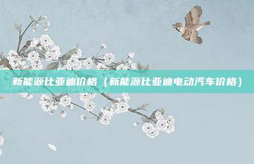 新能源比亚迪价格(新能源比亚迪电动汽车价格)