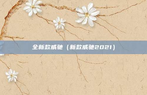 全新款威驰（新款威驰2021）