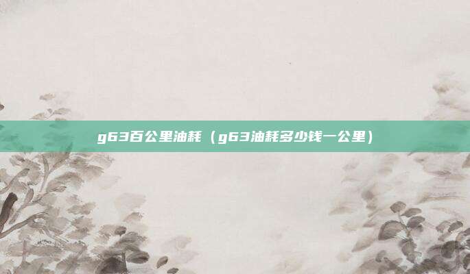 g63百公里油耗（g63油耗多少钱一公里）