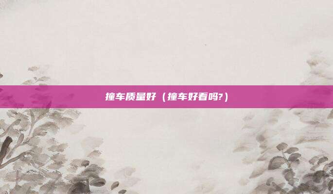 撞车质量好（撞车好看吗?）
