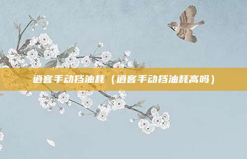 逍客手动挡油耗(逍客手动挡油耗高吗)
