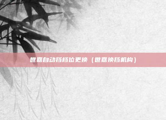 世嘉自动挡档位更换（世嘉换挡机构）