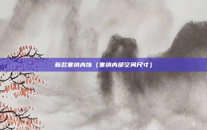 新款塞纳内饰（塞纳内部空间尺寸）